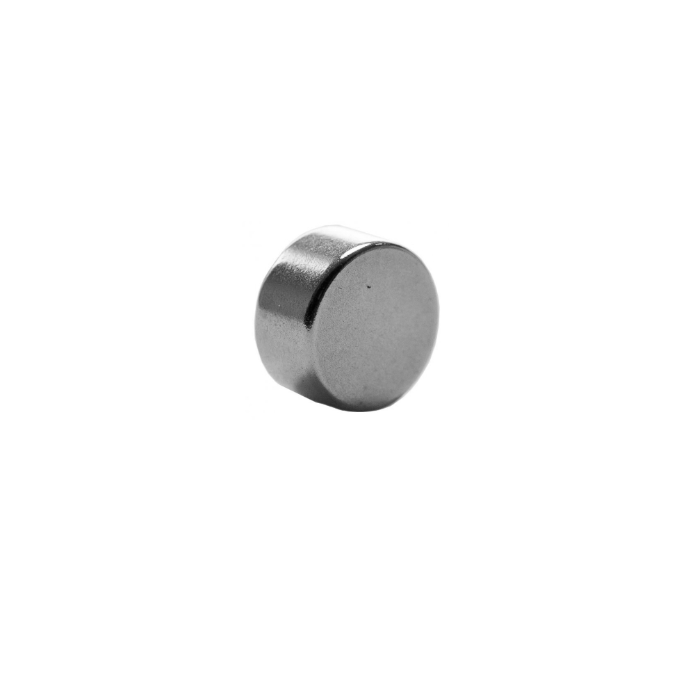 Saeco Magnet Gerätetür Minuto / Intelia / Xelsis u.a.