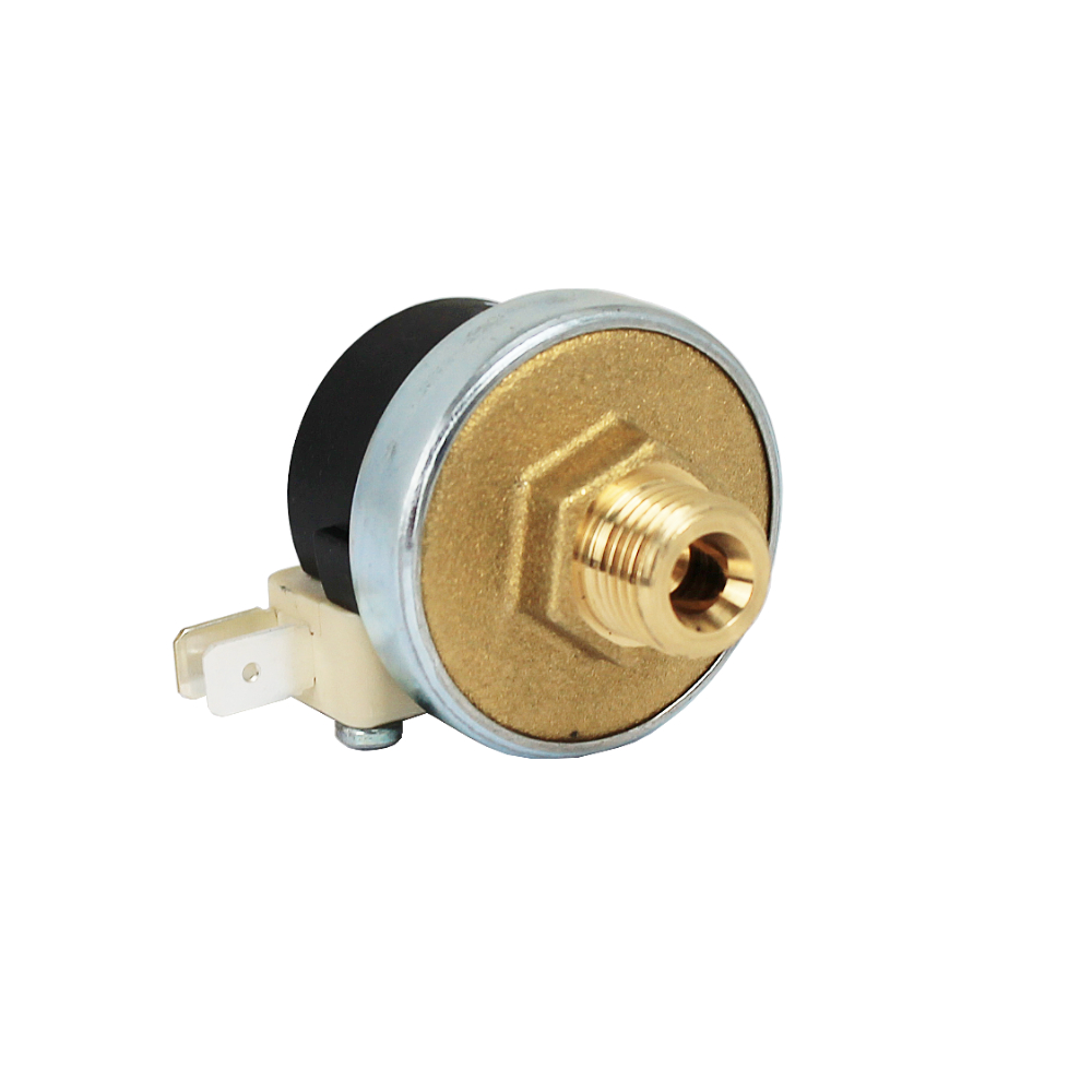 ECM Druckwächter Pressostat XP110 0.5 -1.2 Bar 1/4 Zoll  /  u.a.