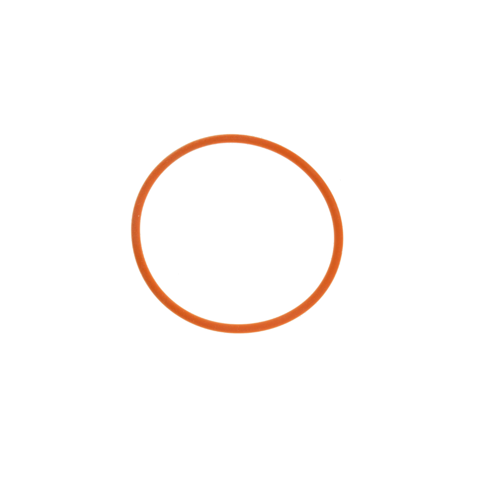 Saeco O-Ring 176