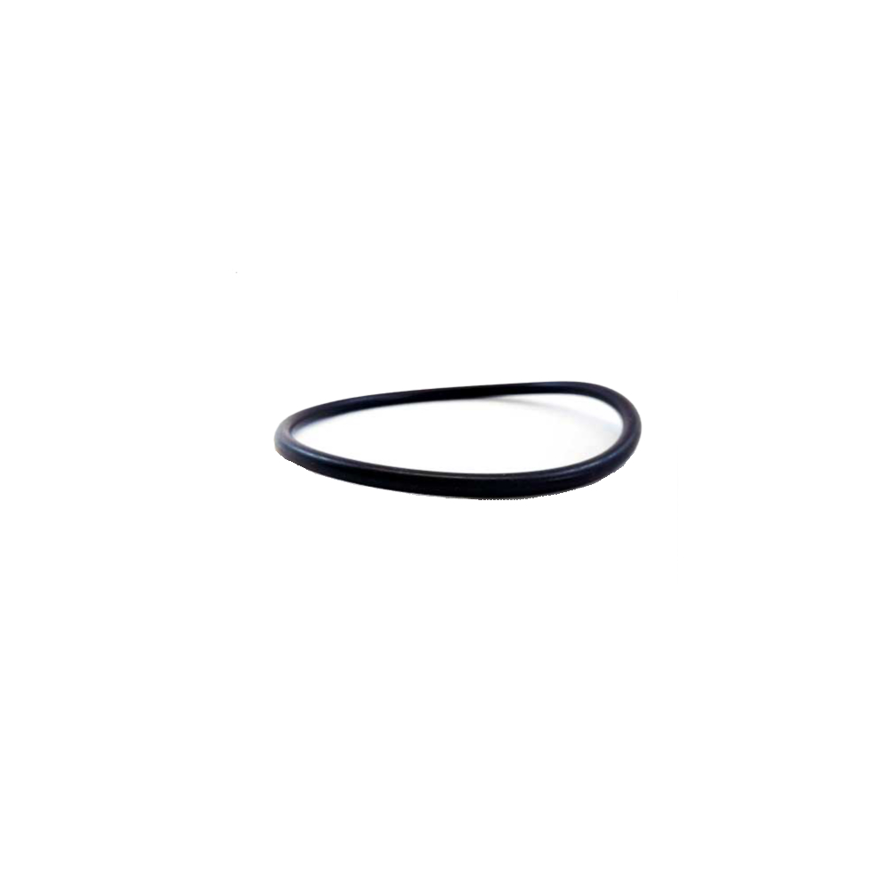 Gaggia Dichtung OR 0167 EPDM Baby u.a.
