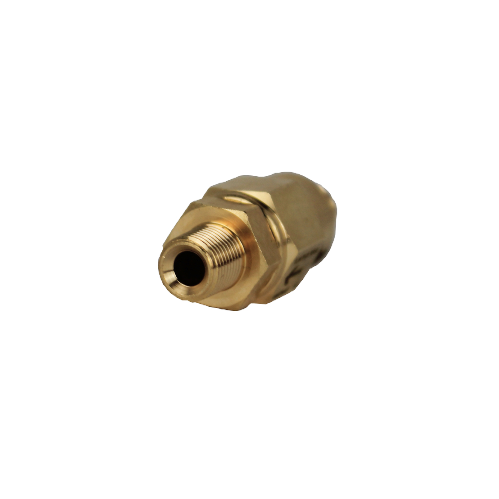 ECM Rückschlagventil 1/8 Zoll -1/8 Zoll M