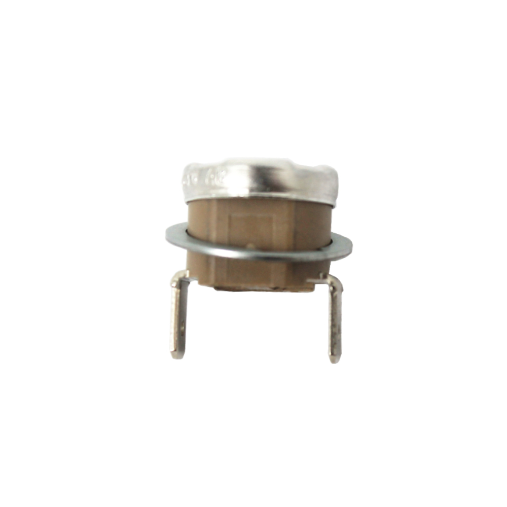 Gaggia Thermostat 95I RI8323 RI8423