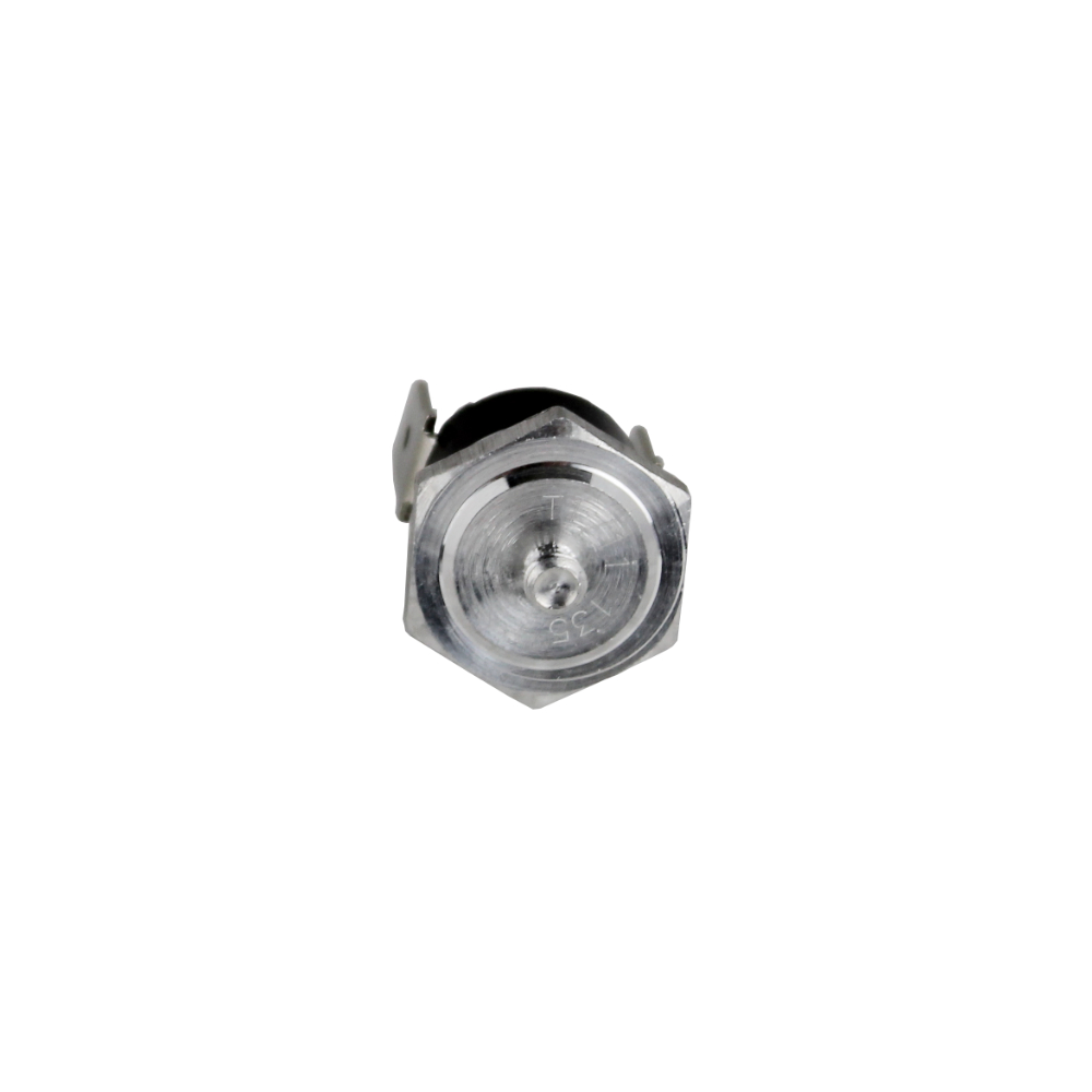 ECM Thermostat Dampftemperatur 135°C 230V