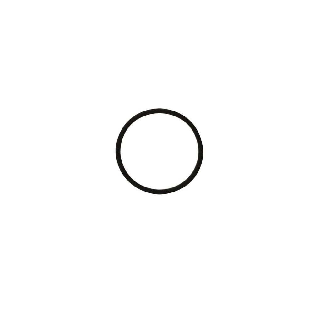 Bezzera O-Ring Dichtung 02112 Viton