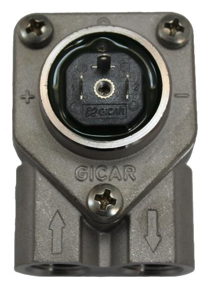 Carimali Volumenzähler Gicar Flowmeter Durchflussmesser