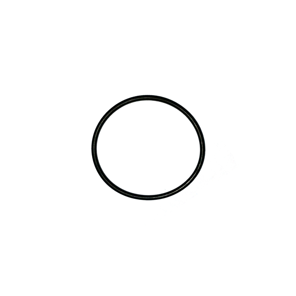ECM O-Ring Dichtung S-64