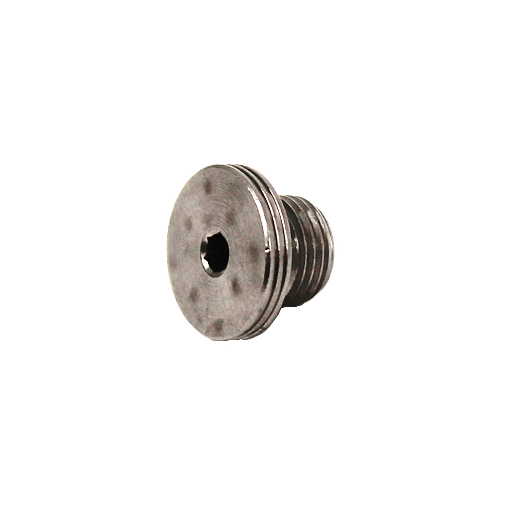 ECM Blindstopfen 1/8 Zoll M P2058