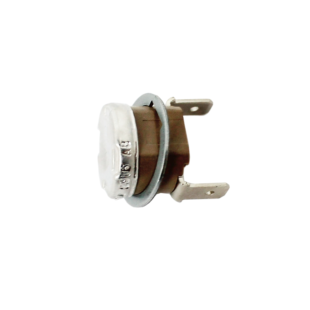 Gaggia Thermostat 95I RI8323 RI8423