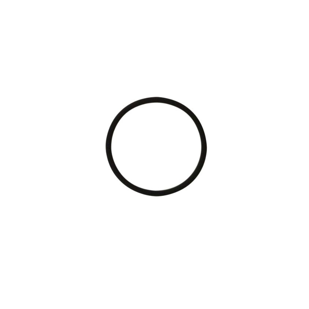 Bezzera O - Ring 177 Viton